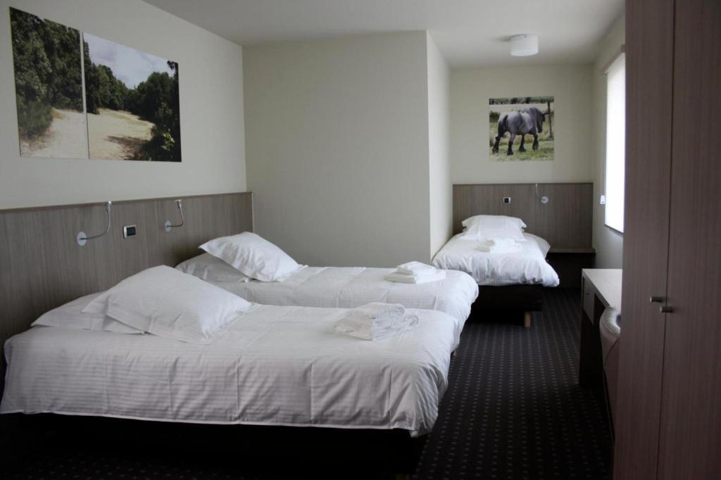 Hotel Otus Wetteren Room photo